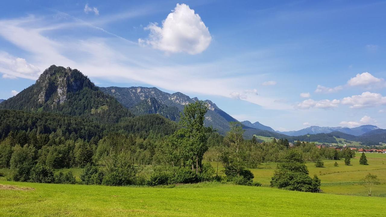 شقة انزل  في Bergblick المظهر الخارجي الصورة